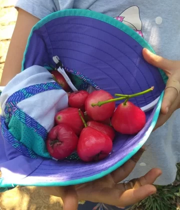 Chợ Quê Giữa Phố: Vào Hạ- Để Khỏe Trong Mùa Thi