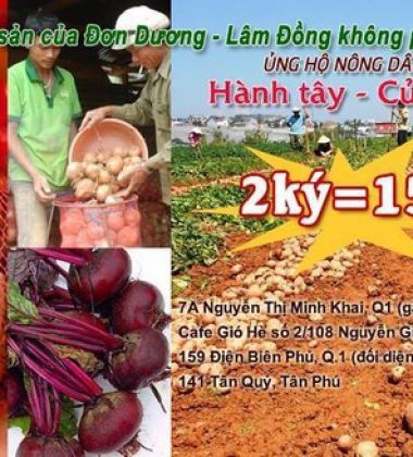TP.HCM: Hội Quán Các Bà Mẹ “giải cứu” hành tây Lâm Đồng