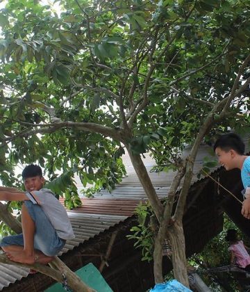 Lấy yêu thương đẩy lùi bạo lực học đường