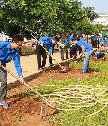 Hội Quán Các Bà Mẹ cùng Đoàn Khối các cơ quan tỉnh Đắc Nông trồng cây “Ngày Chủ nhật xanh”